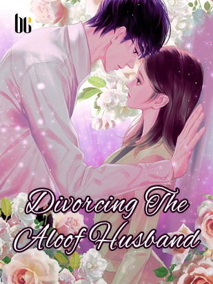 Divorcing The Aloof Husband